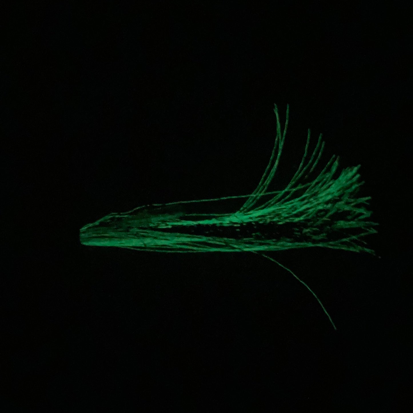 Frizzy Lizzy Flies - Rigged